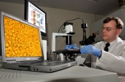 mit scientists, medical breakthrough Courtesy of mit.edu