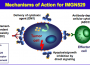 immunogen drug image