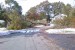 foxborough tree storm