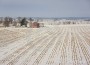 Dairy Farm winter