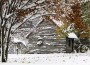Winter Wonderland Courtesy of Associated Press