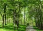trails trails