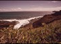 conservation land conservation land