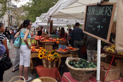 farmers market